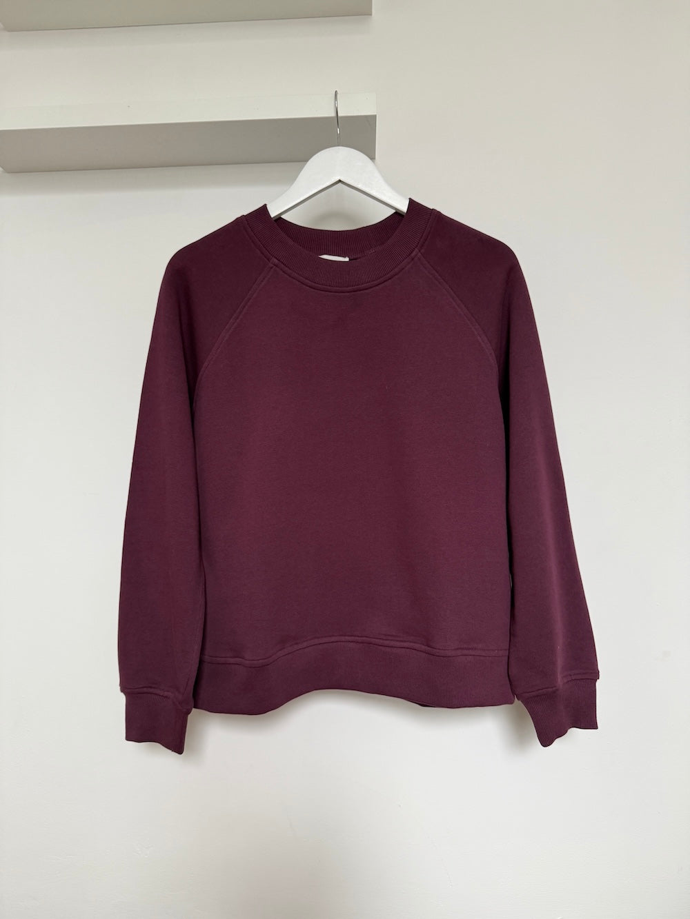 Dylan Raglan Sweatshirt Fig